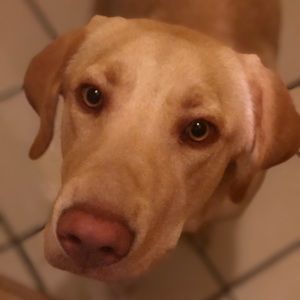 Meet your Posher, Macy